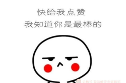霸气搞笑句子笑死人,霸气搞笑句子的欢乐盛宴