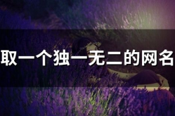 独一无二霸气的名字大全,精选独一无二霸气回响