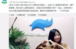 绿地前台的小姐姐是谁,美丽与智慧并存的风采展示