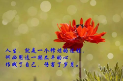 适合自己心情的句子,适合自己心情的温暖语句