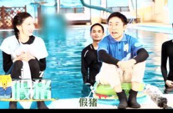 综艺节目娱乐吃瓜,揭秘明星与节目组的甜蜜与冲突
